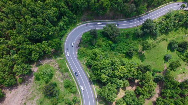 Aerial view of road going through greenery, Roads through the green forest, drone landscape Aerial view of road going through greenery, Roads through the green forest, drone landscape assam india stock pictures, royalty-free photos & images