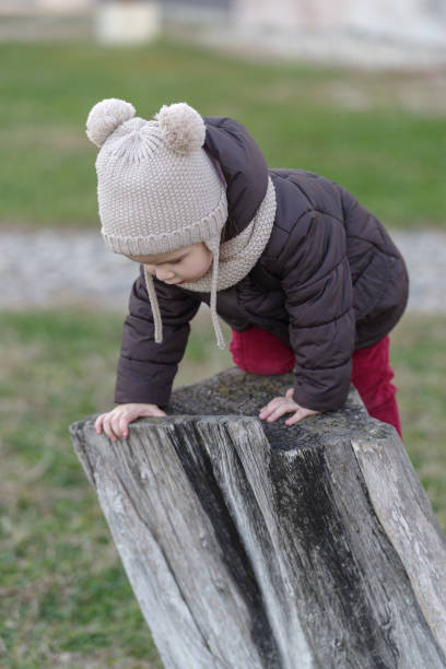 istock Child sit and playing on the tree stump 1417965023