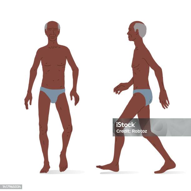 Set Male Body Shape Types Five: vetor stock (livre de direitos) 741156757