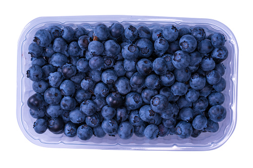 Blueberries in a plastic container isolated on a white background.