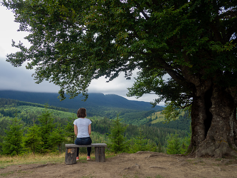 Back view of young woman in white t-shirt and blue jeans admiring breathtaking view while sitting on bench in the mountains. Female in casual clothes sits under large tree with forest background.