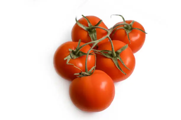 Photo of Branch of red tomatoes on a white background