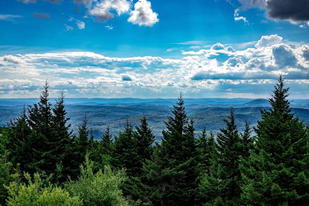 istock Aerial view of mountains surrounded by growing lush trees 1417971668