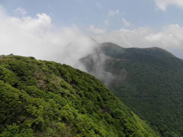istock Aerial view of mountains surrounded by growing lush trees 1417971674