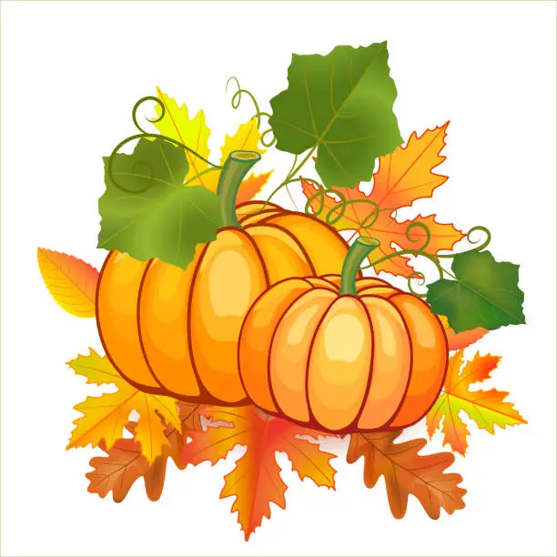 Vector illustration of Happy Thanksgiving Day celebration concept with pumpkins. Leaf decoration are in the background. Bright autumn composition. Color illustration isolated on white background