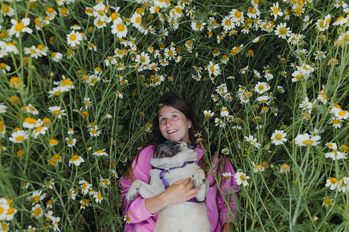 High Angle view of happy female with long hair embracing a cute pug and relaxing on the beautiful field with daisy flowers in bloom in Turkey during sunset