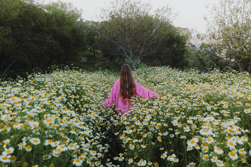 Happy female with long hair contemplating the beautiful field with daisy flowers in bloom in Turkey during sunset