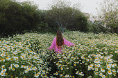 Woman in pink sweater walking at the meadow with daisy field