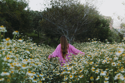 Happy female with long hair contemplating the beautiful field with daisy flowers in bloom in Turkey during sunset