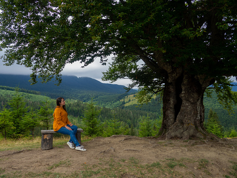 Side view of young woman in yellow sweater and blue jeans admiring breathtaking view while sitting on bench in the mountains. Female in casual clothes sits under large tree with forest background.