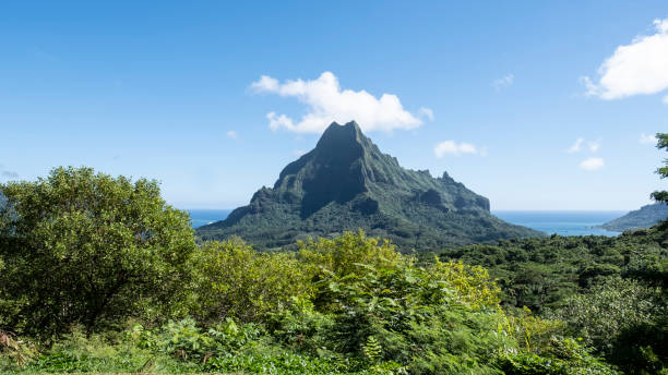 istock French Polynesia Tahiti Moorea Fakarava 1417981482