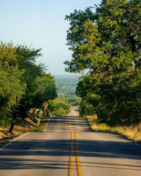istock Sweeping road between green trees on a sunny day in Austin, Texas 1417981523