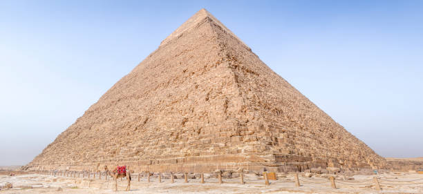 camelo em frente à pirâmide de khafre, necrópole de gizé, egito - giza pyramids sphinx pyramid shape pyramid - fotografias e filmes do acervo