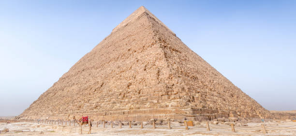 верблюд, стоящий перед пирамидой хефрена, некрополь гизы, египет - pyramid of chephren стоковые фото и изображения