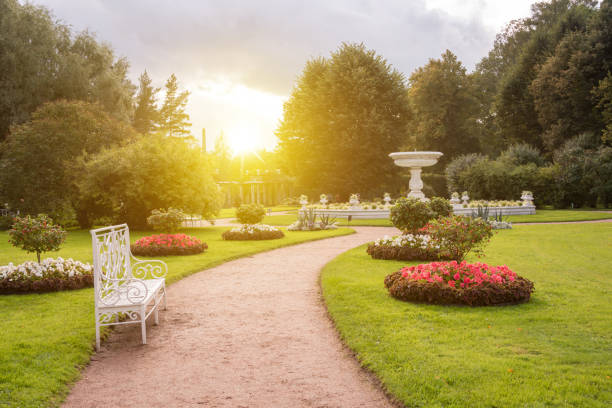 istock Beautiful green park in summer, cut trees and path 1417982540