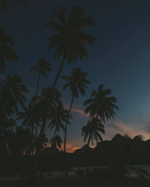 istock French Polynesia Tahiti Moorea Fakarava 1417984302