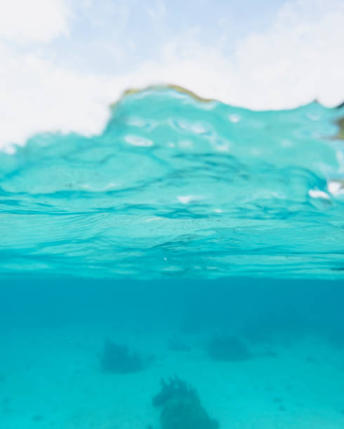 istock French Polynesia Tahiti Moorea Fakarava 1417984727