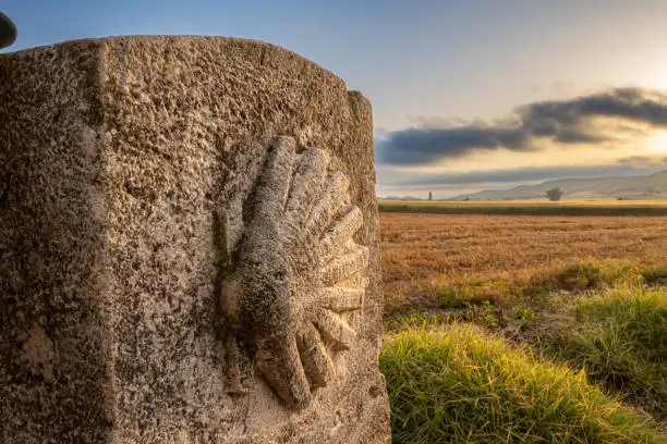 Photo of Camino de Santiago - Scallop Shell