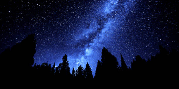 istock Milky Way Sky Forest at Night Time Stars 1417992902