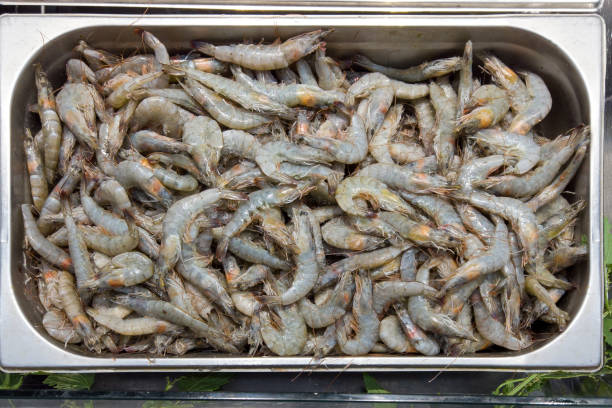 raw shrimps on ice at the fish market. fresh raw shrimp selling in fridge. seafood selling. - prepared shellfish tray variation catch of fish imagens e fotografias de stock