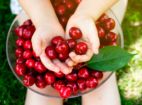 A little girl sits on the grass and holds a cherry berry in her hands, there is a bowl with cherries on the child's lap