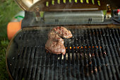 fleisch-beim-picknick-kochen-im-freien-b