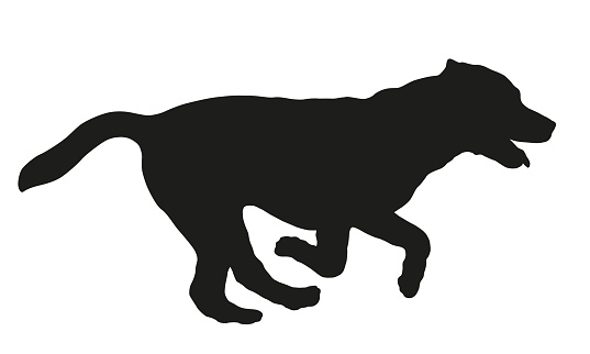 Black dog silhouette. Running and jumping labrador retriever puppy. Pet animals. Isolated on a white background. Vector illustration.