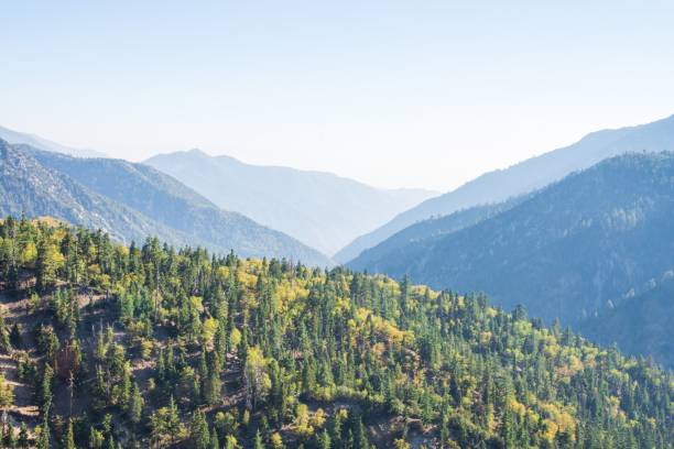 istock Aerial drone shot of forested hills 1418007861