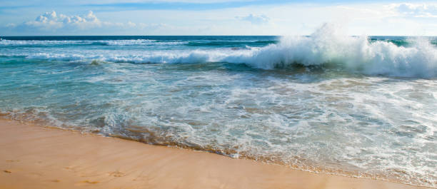 istock tropical summer beach. Wide photo. 1418010225
