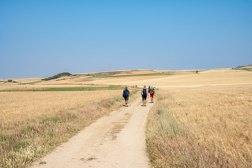 Boadilla del Camino, Spain - June 13, 2022:  Pilgrims on the Camino de Santiago hike the high plains in northern Spain.