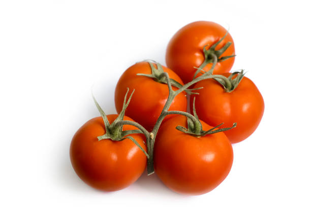 istock Branch of red tomatoes on a white background 1418014109