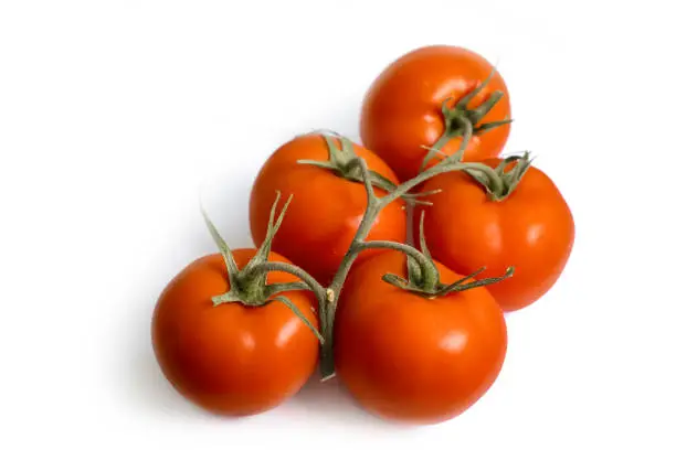 Photo of Branch of red tomatoes on a white background