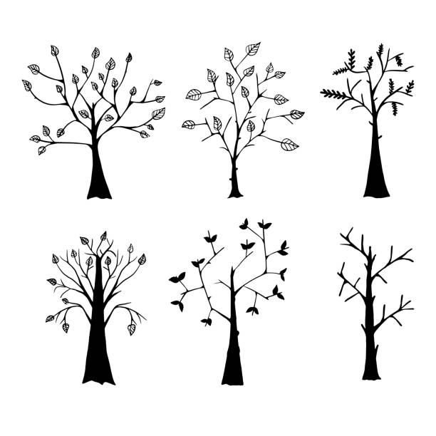 vektordarstellung von bäumen mit blättern und nacktem vektor - bare tree nature backgrounds tree trunk branch stock-grafiken, -clipart, -cartoons und -symbole