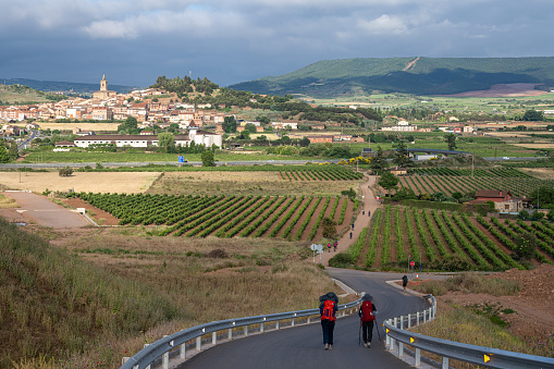 Pilgrims with backpacks walks toward village of Navarrete and vineyard in a scenic landscape in Spain.