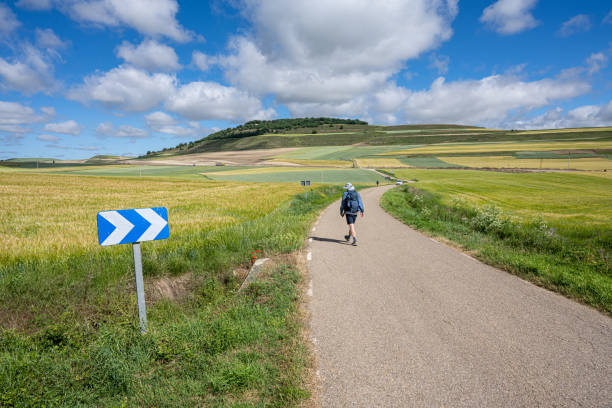 Santo Domingo, Spain - June 9, 2022:  A pilgrim walks the lonely road of the Camino de Santiago near Santo Domingo, Spain.