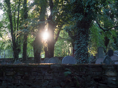 view behind the brick wall to old jewish cemetery with sunbeams, rays through trees covered climbing ivy and grey graves tomb stones. Muted colors, selective focus. Spooky mysterious mood