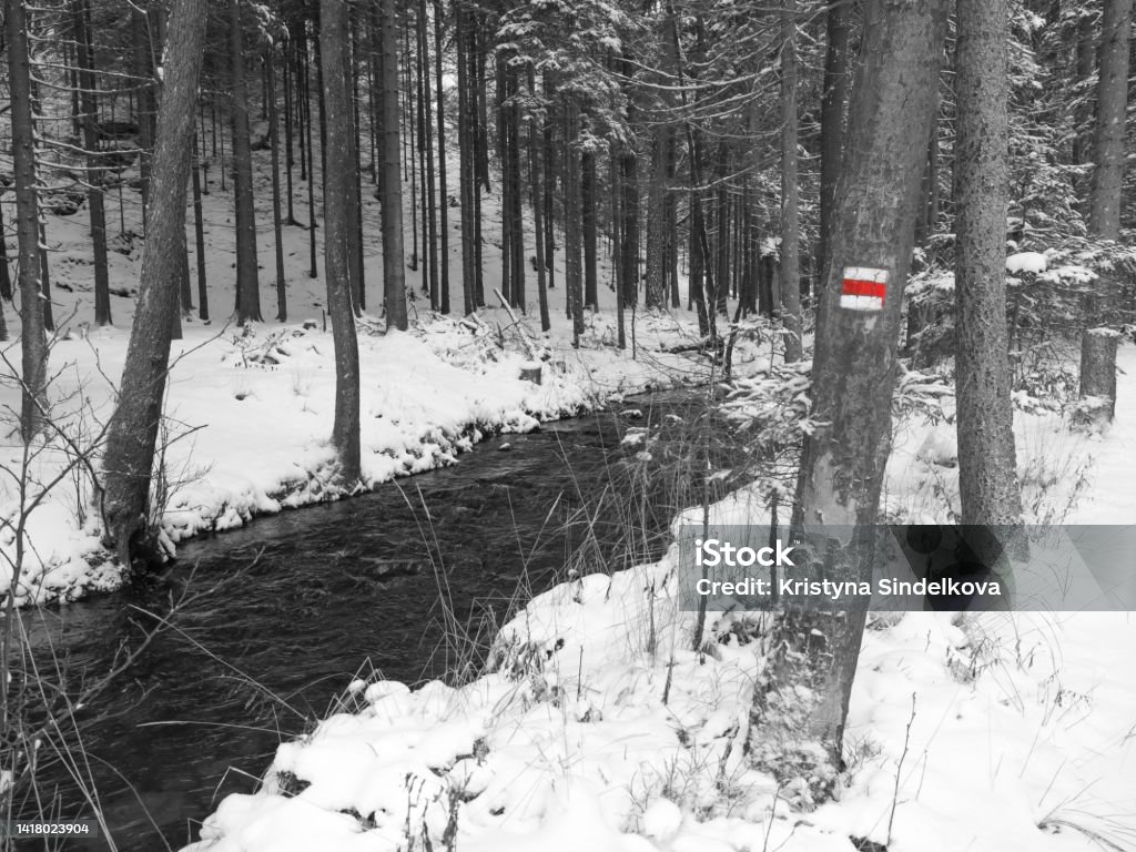 snow covered forest water stream creek with trees, branches and stones, idyllic winter landscape in black and white with red hiker sign snow covered forest water stream creek with trees, branches and stones, idyllic winter landscape in black and white with red hiker sign. Backgrounds Stock Photo