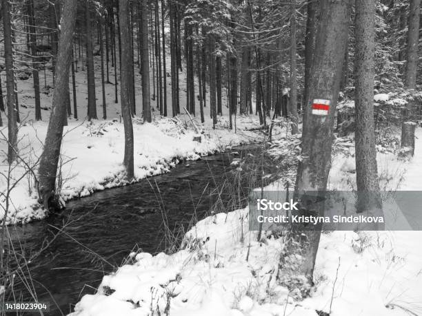 Snow Covered Forest Water Stream Creek With Trees Branches And Stones Idyllic Winter Landscape In Black And White With Red Hiker Sign Stock Photo - Download Image Now