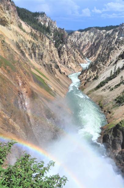 istock Lower Falls of the  Yellowstone River 1418024477