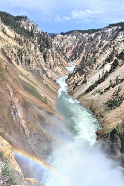 istock Lower Falls of the  Yellowstone River 1418024481