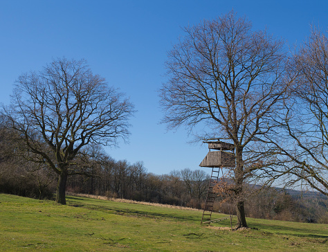 early spring rural landscape with wooden high seat on green grass meadow, bare trees and blue sky background