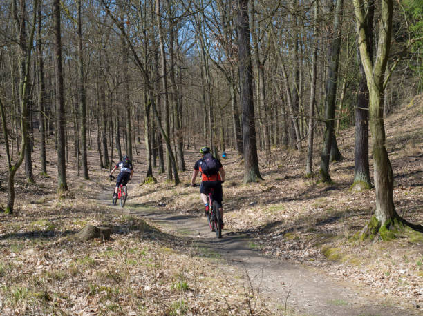istock group cyclists riding a bike on early spring forest road in sunlight 1418024623