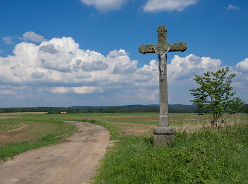 Hungarian landscape