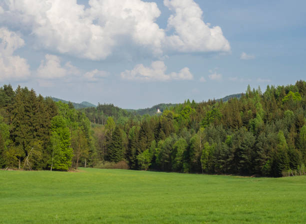 istock idyllic spring landscape with lush green grass meadow, fresh deciduous and spruce tree forest, small chapel and hills, blue sky white clouds background, horizontal, copy space 1418024626