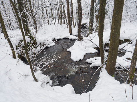 Snow covered forest water stream, creek with trees, branches and stones, idyllic winter landscape in Luzicke hory, Lusatian Mountains, Czech Republic, snowfall.
