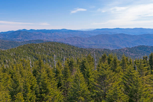 istock Smoky Mountains Panorama on a Sunny Day 1418025849