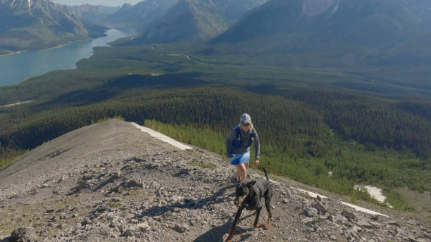 woman trail runner runs along mountain ridge with dog - conquering adversity wilderness area aspirations achievement imagens e fotografias de stock