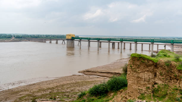 istock Chambal River, river, northern India 1418030603