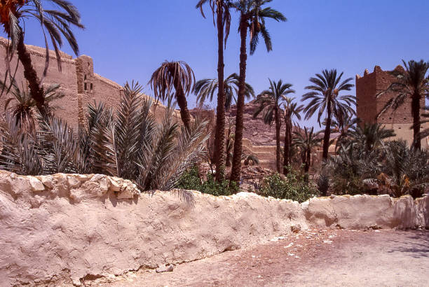 istock Village in an oasis on the Sinai 1418031602