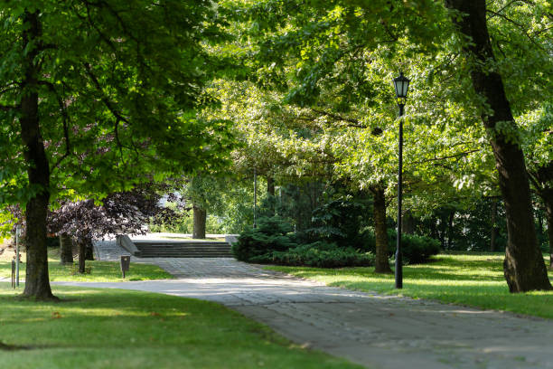 istock Pedestrian path and stairs in the park. 1418032445